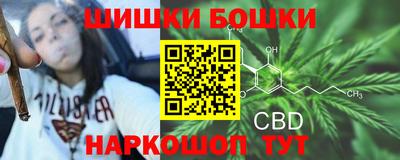СК Сланцы