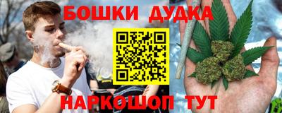 СК Сланцы