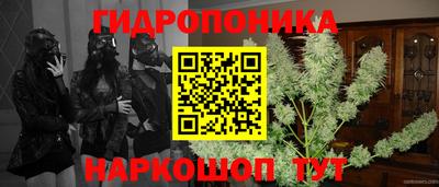 СК Сланцы