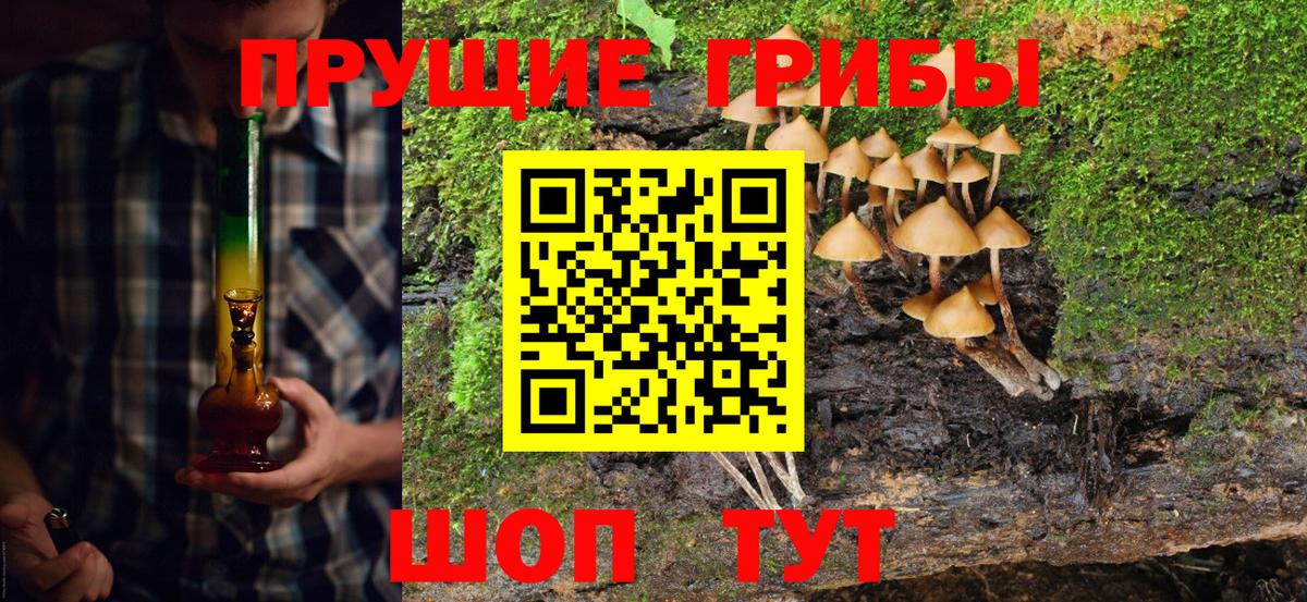 даркнет сайт  Вход с VPN  Норильск  Галлюциногенные грибы Magic Shrooms 