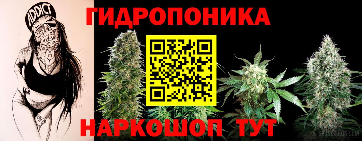 Бошки марихуана SATIVA & INDICA  Канабис MAZAR  Норильск  Вход с VPN  Марихуана марихуана 